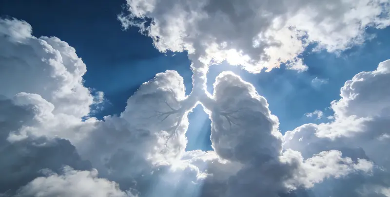 河源肺癌120基因ctDNA突变检测(血液）图片1