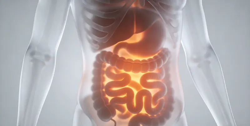 食管癌甲基化检测图2